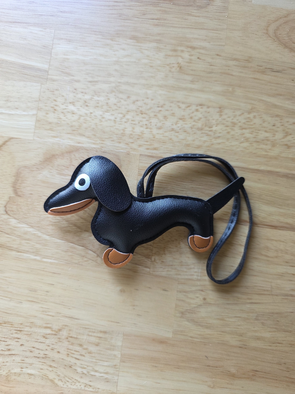 Black Dachshund with Tan Accents